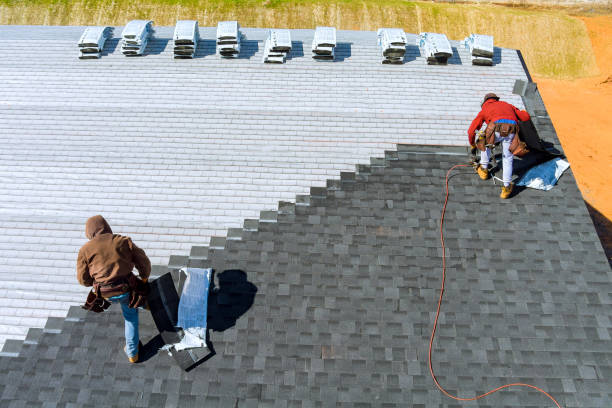 Best Roof Gutter Cleaning  in Weidman, MI