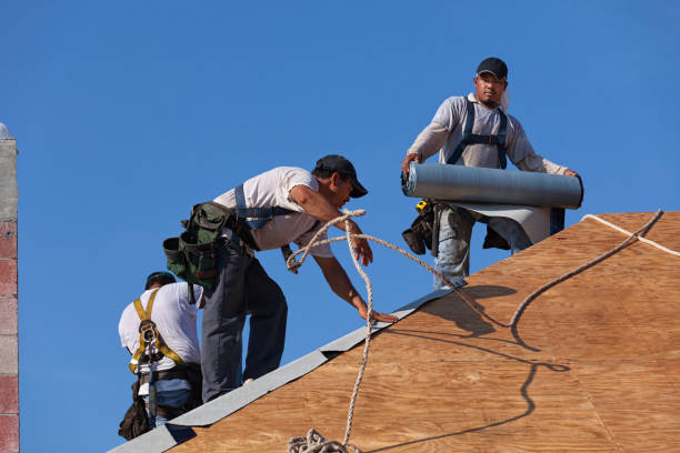 Best Shingle Roofing Installation  in Weidman, MI