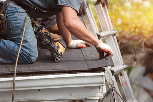 Best Affordable Roof Replacement  in Weidman, MI